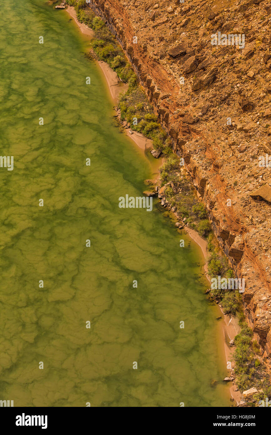 Algae coloring the Colorado River green in Marble Canyon, viewed from ...