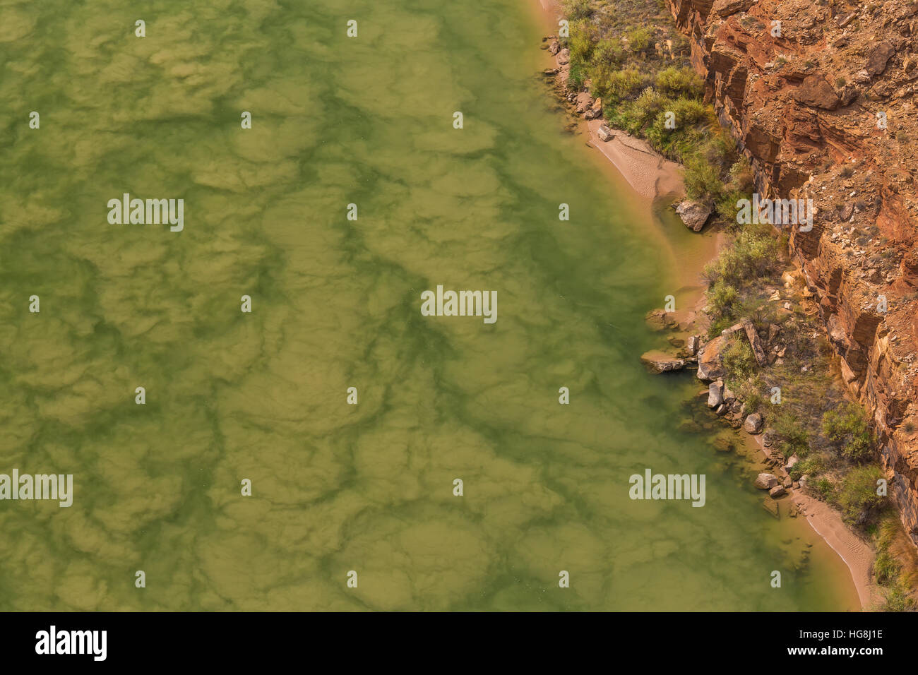 Algae coloring the Colorado River green in Marble Canyon, viewed from ...