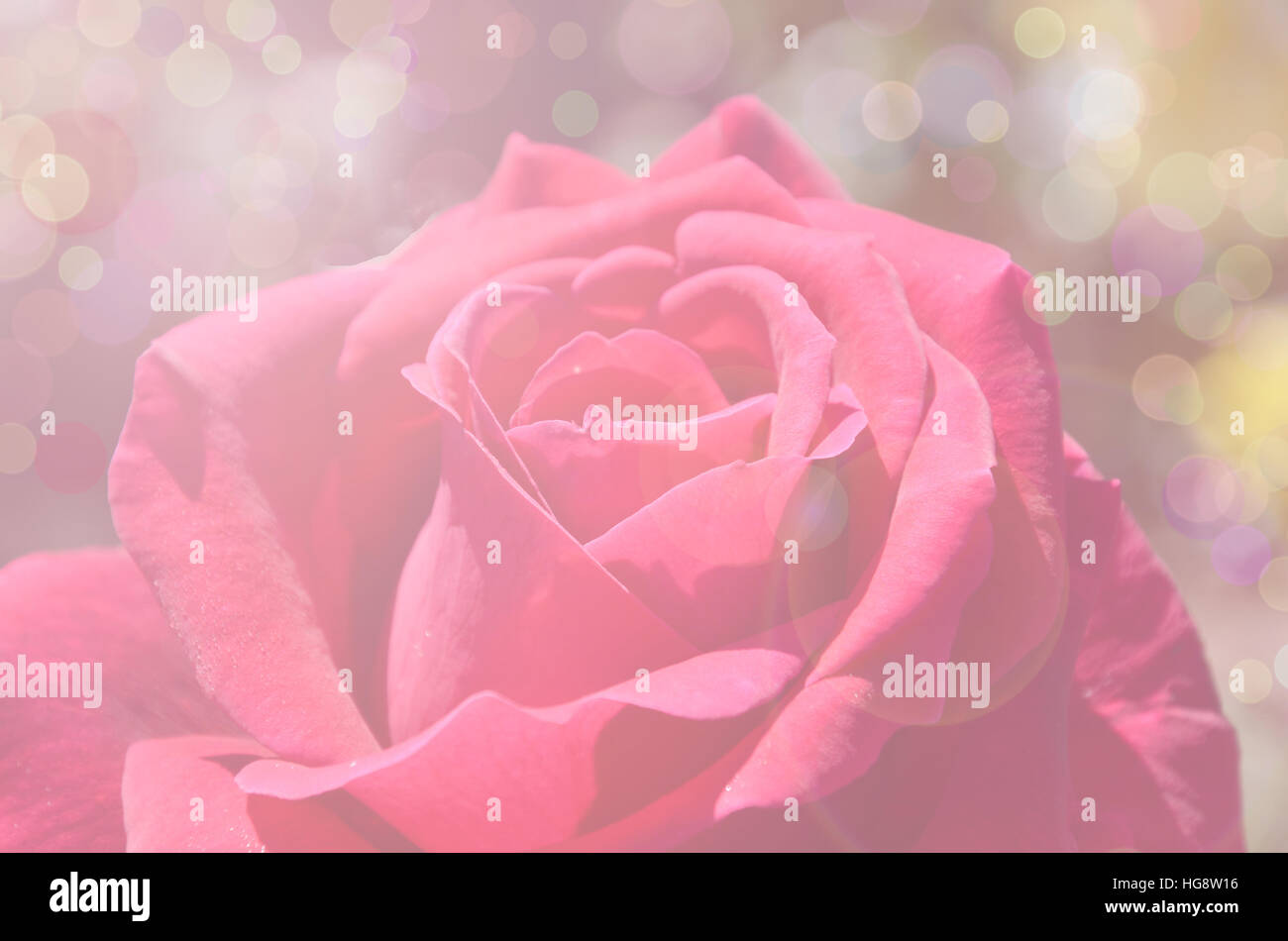 Spring bokeh background hi-res stock photography and images - Alamy