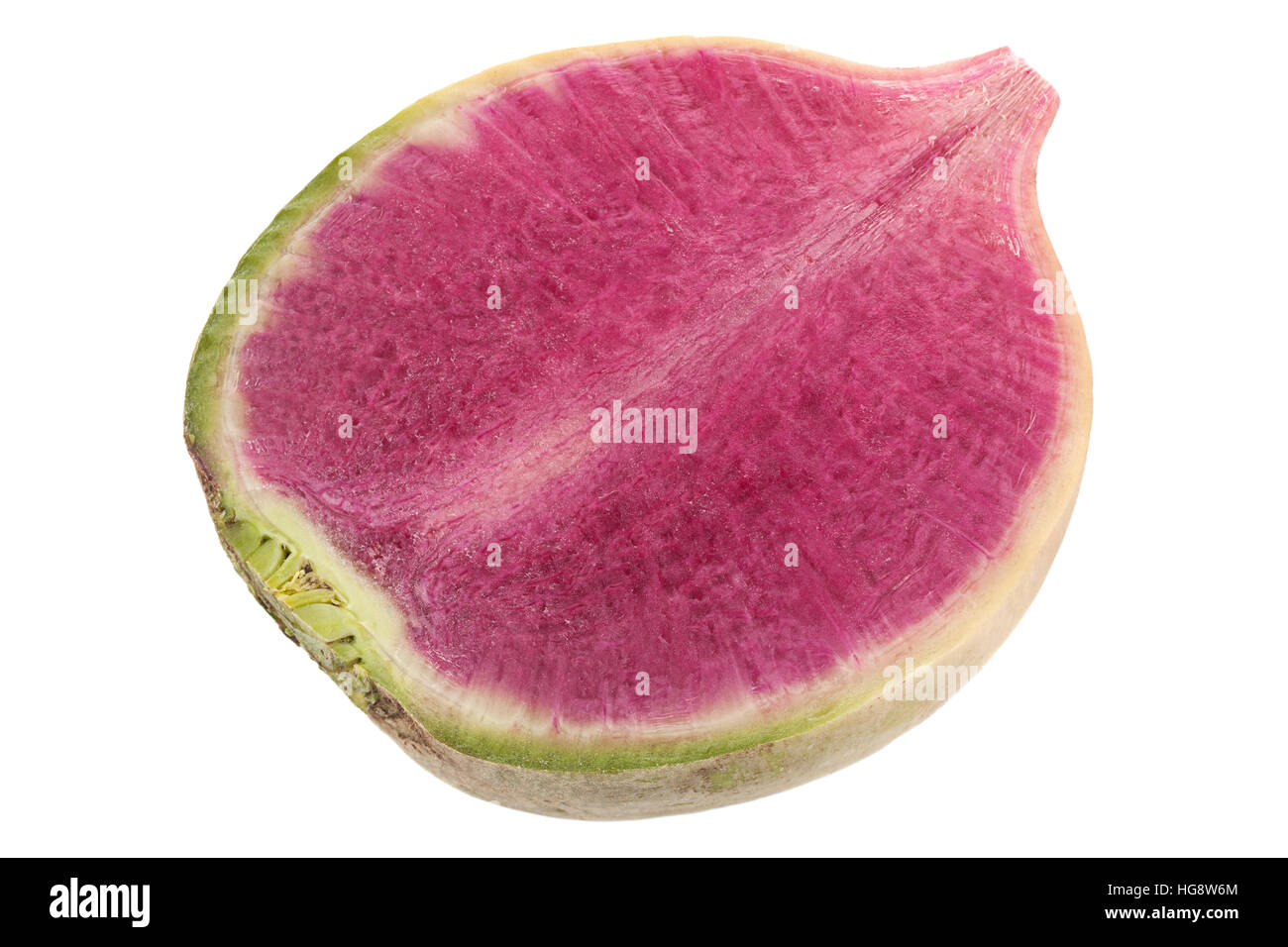 Daikon purple radish vegetable closeup isolated on white Stock Photo
