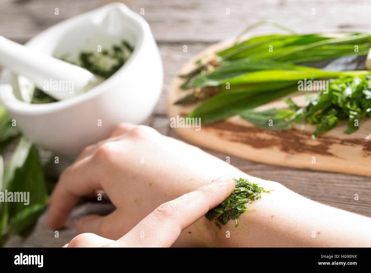 Spitz-Wegerich hilft bei Insektenstich, Mückenstich, Mückenstiche, zerkleinerte Blätter werden auf die juckende Hautstelle gelegt, Auflage, Hausmittel Stock Photo