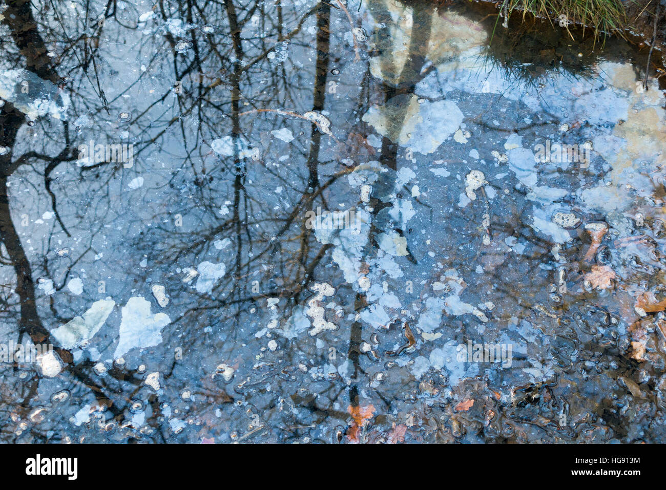 Water pool / pond / slow flowing stream contaminated / polluted with surface / floating oil or grease contamination. West End common, near Esher, Surrey. UK. Stock Photo