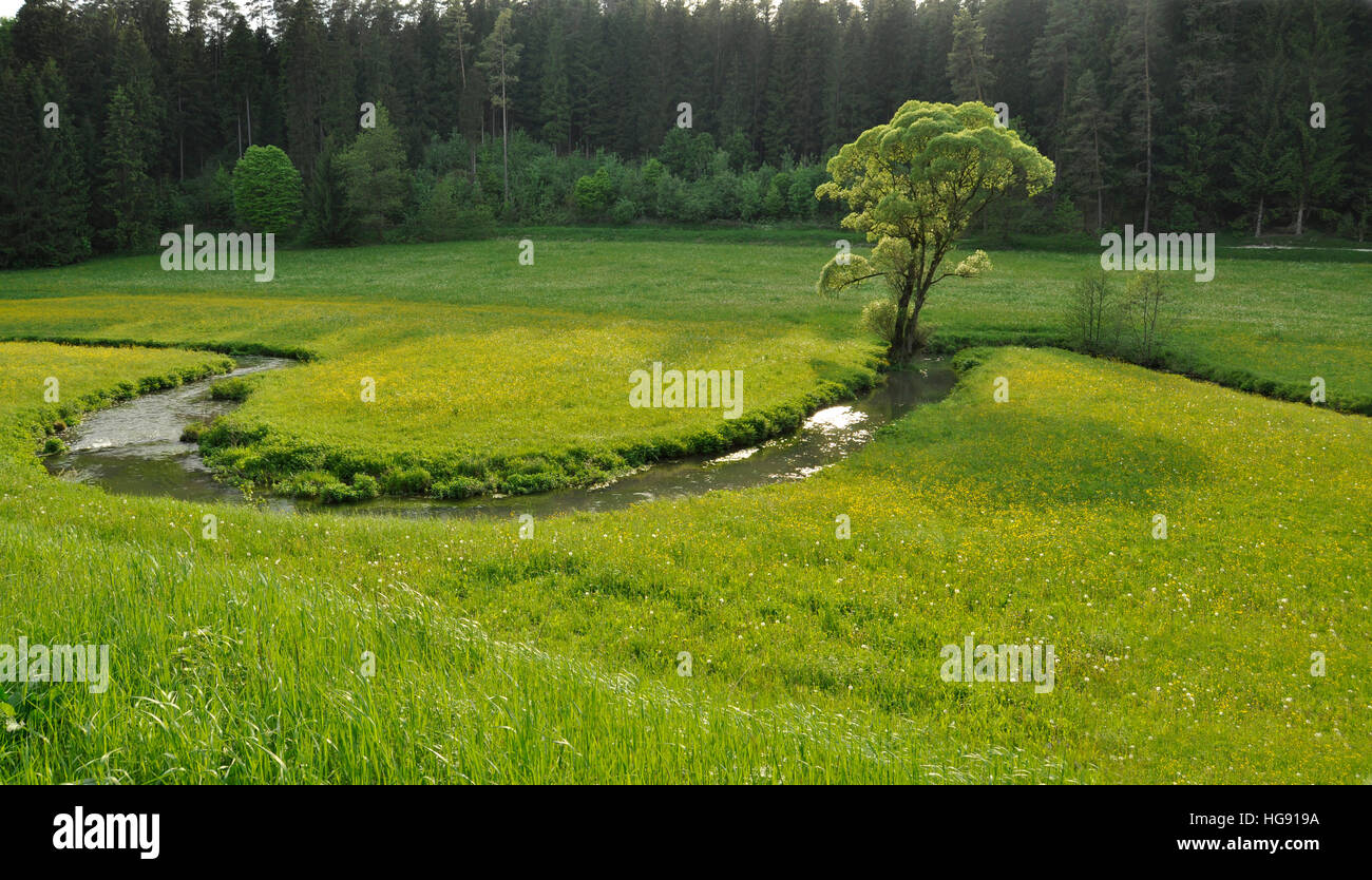 Bends stream in valley hi-res stock photography and images - Alamy