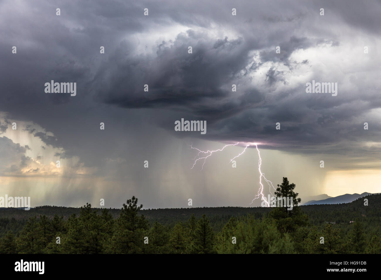 Strong thunderstorm with heavy rain and lightning near Pine, Arizona Stock Photo