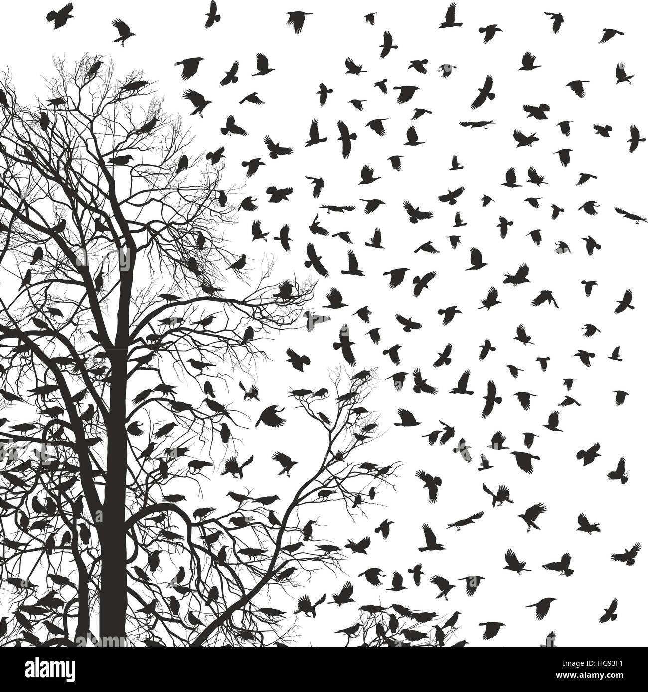 Flock Of Crows