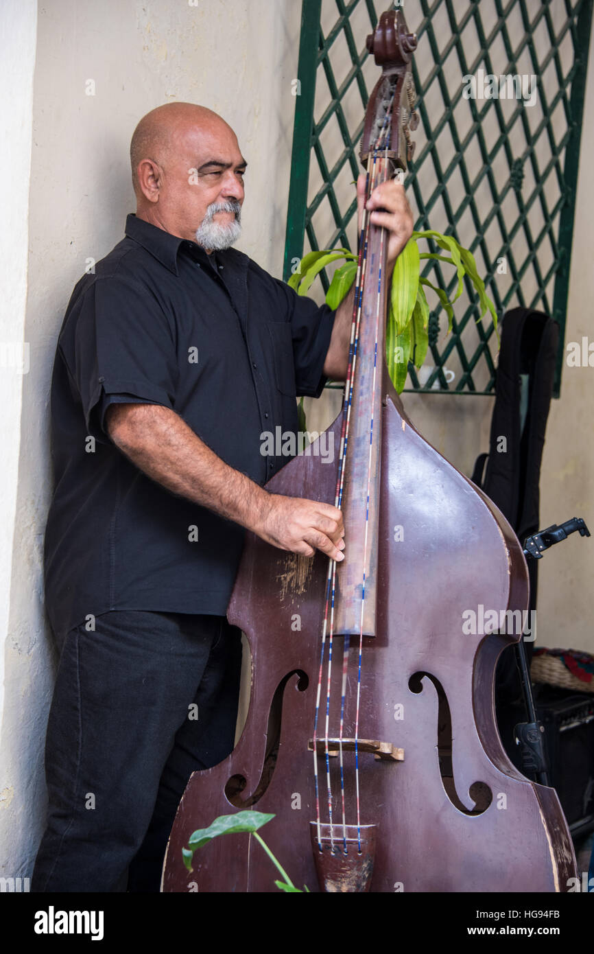 Musician Playing Double Bass in Restaurant, Old Havana, Cuba Stock Photo