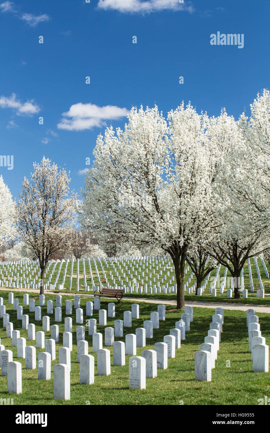 Tombstones Jefferson Barracks National Cemetery, St Louis, Mo Stock Photo Alamy