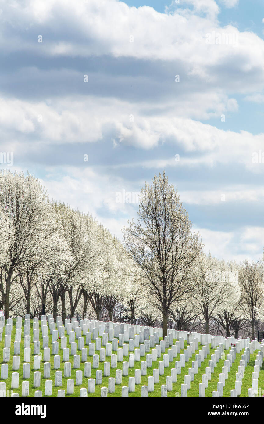 Tombstones Jefferson Barracks National Cemetery, St Louis, Mo Stock Photo Alamy