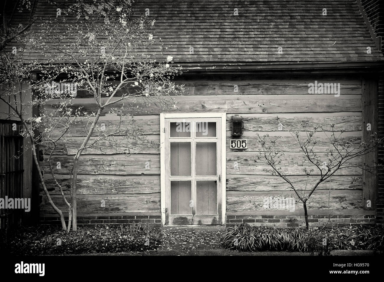 rustic cabin door and spring tree buds sepia Stock Photo