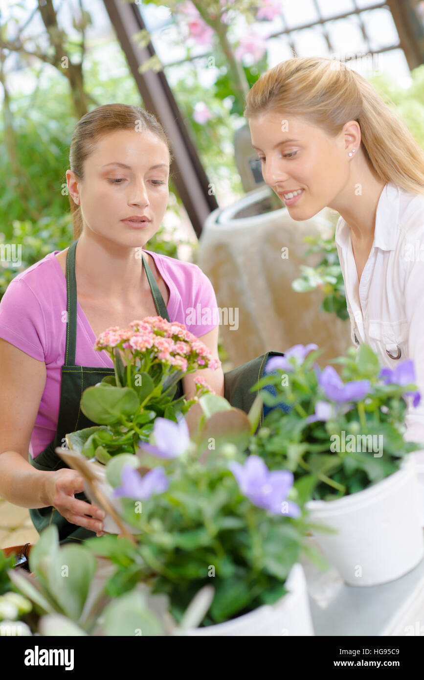 Florist with customer Stock Photo Alamy