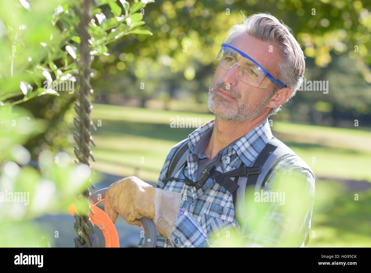 Man using hedge trimmer Stock Photo - Alamy