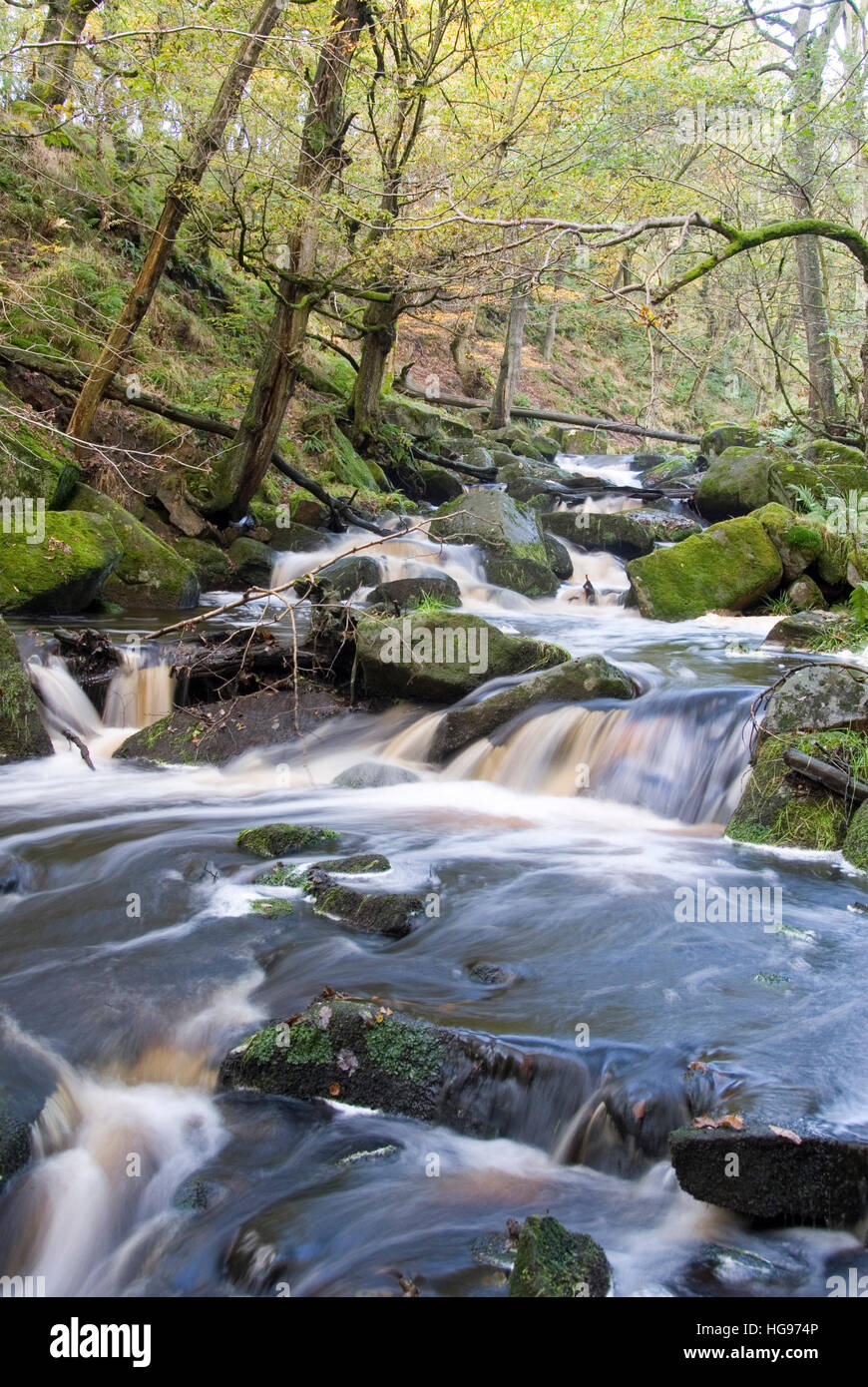 Burbage Brook flows down the forested rocky river valley of Padley Gorge, Longshaw Estate, Peak District, Derbyshire, UK Stock Photo