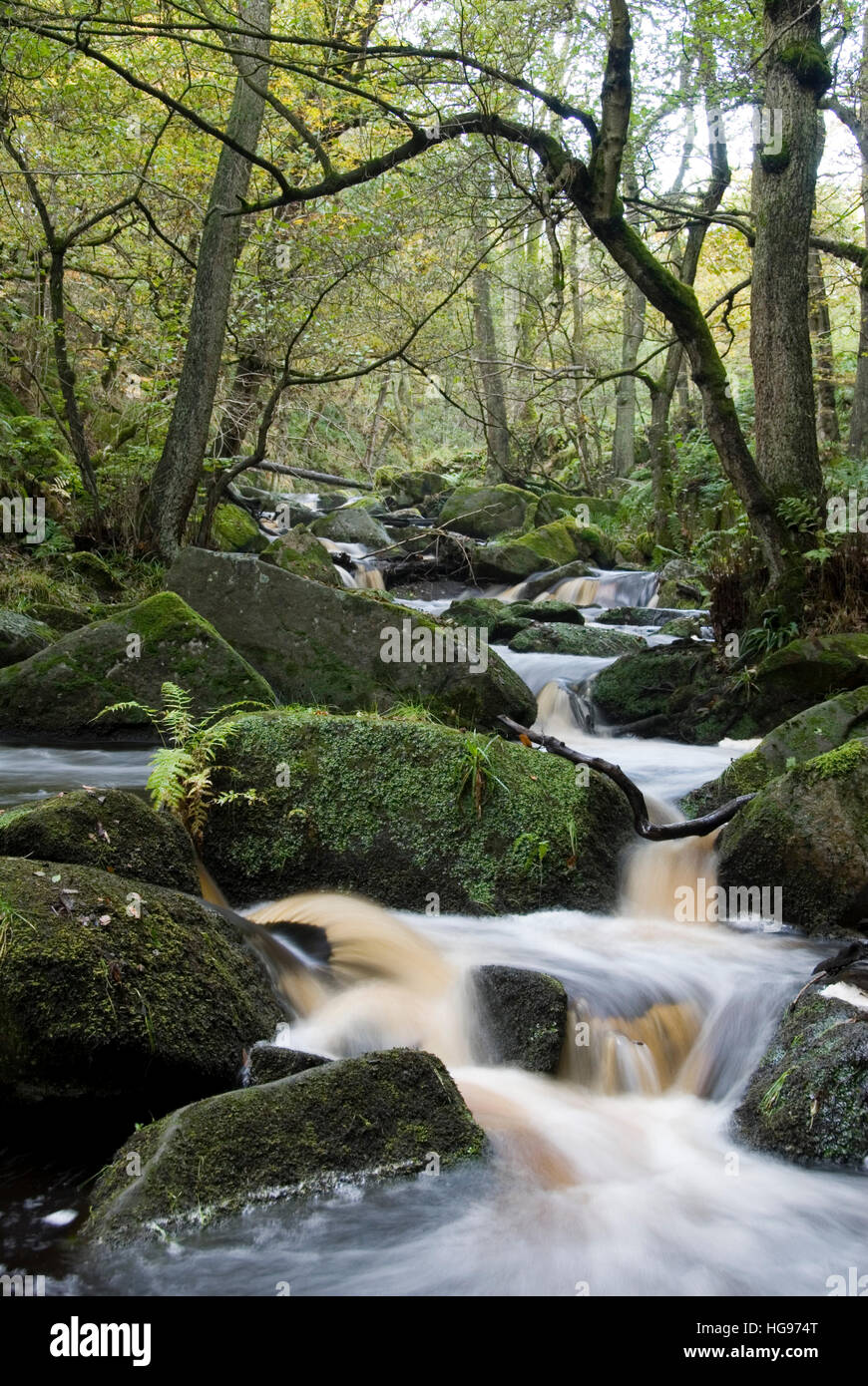 Burbage Brook flows down the forested rocky river valley of Padley Gorge, Longshaw Estate, Peak District, Derbyshire, UK Stock Photo