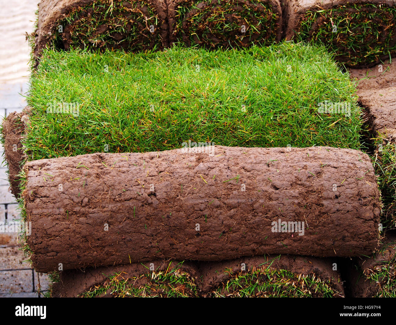 Carpet of turf roll of sod turf grass roll Stock Photo Alamy