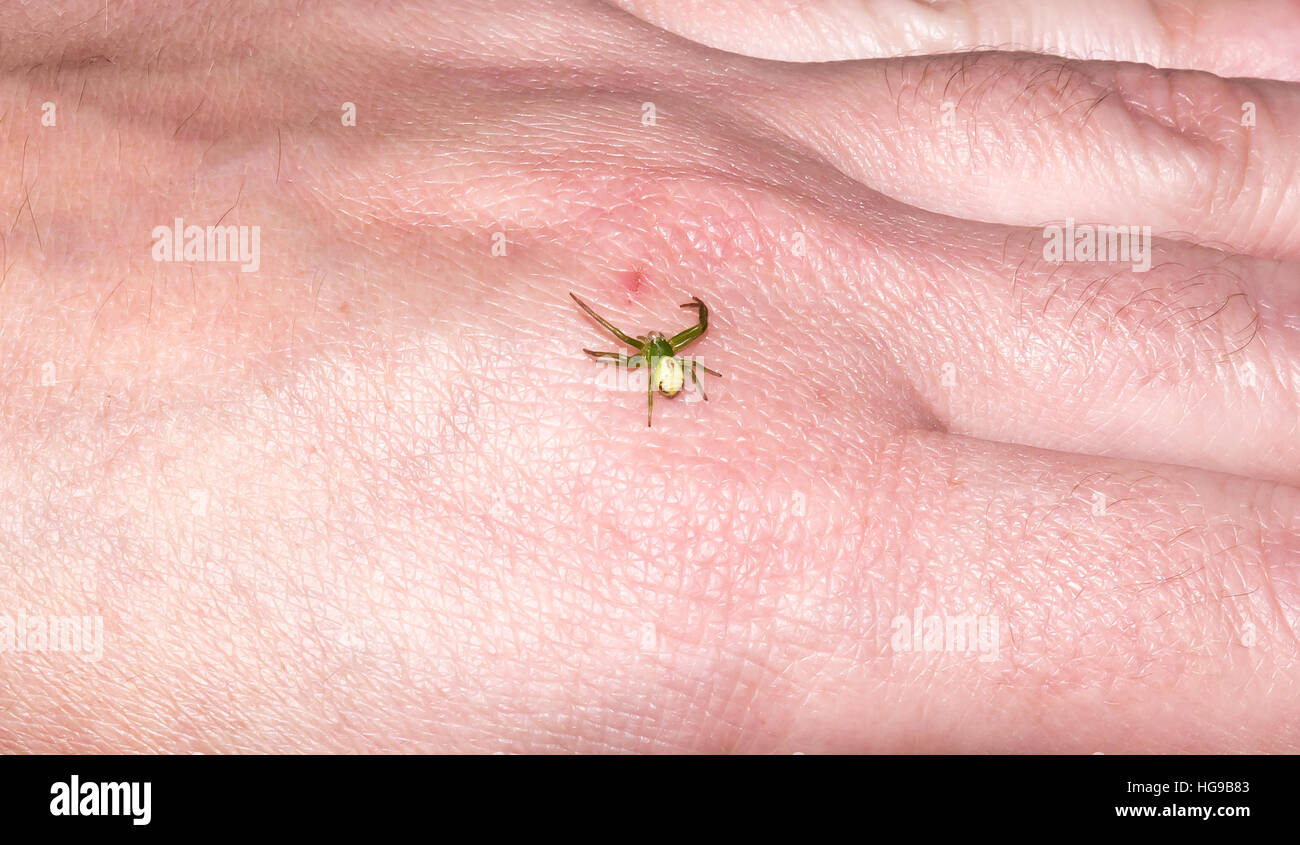 Hand predator hi-res stock photography and images - Alamy