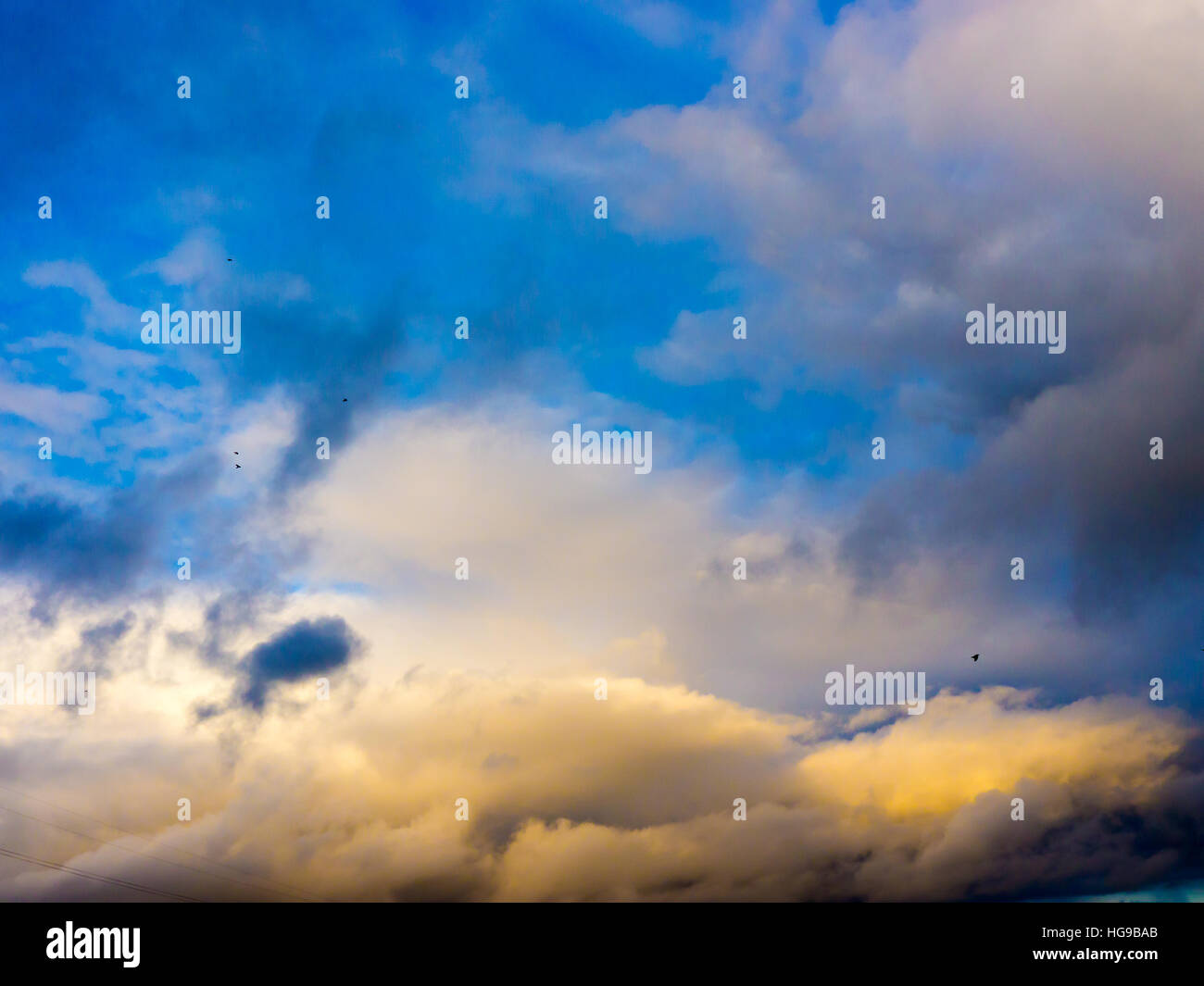 The white clouds background and texture. Stock Photo