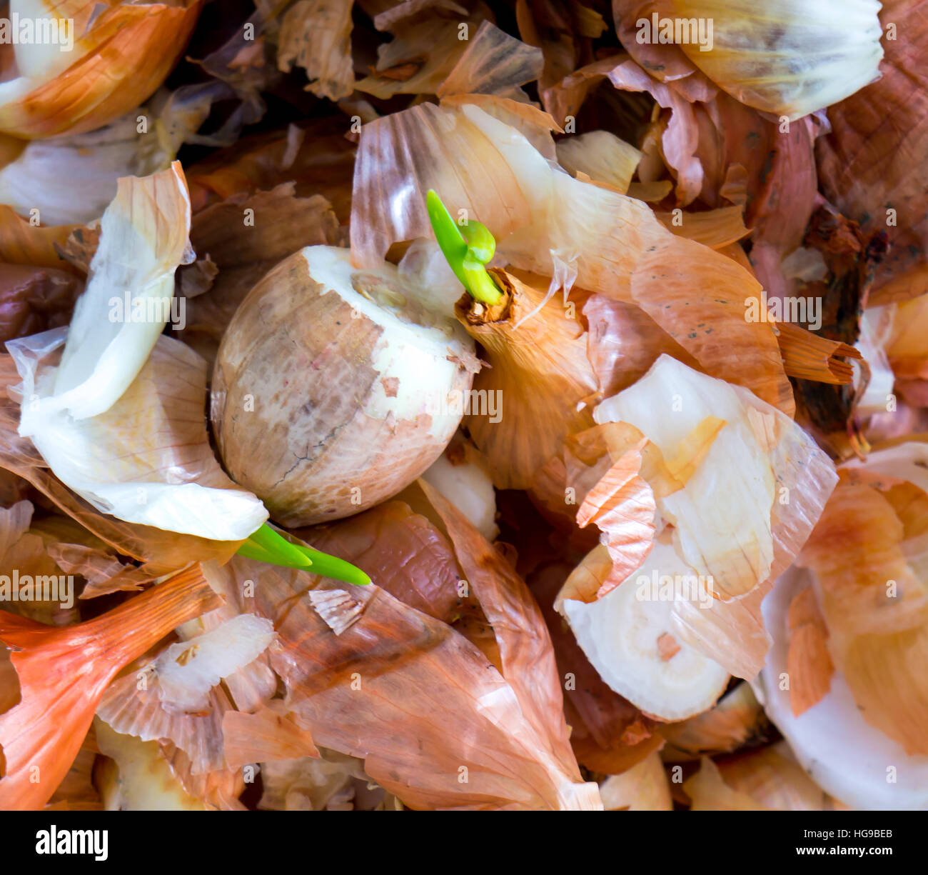 The food garbage texture and objects Stock Photo - Alamy