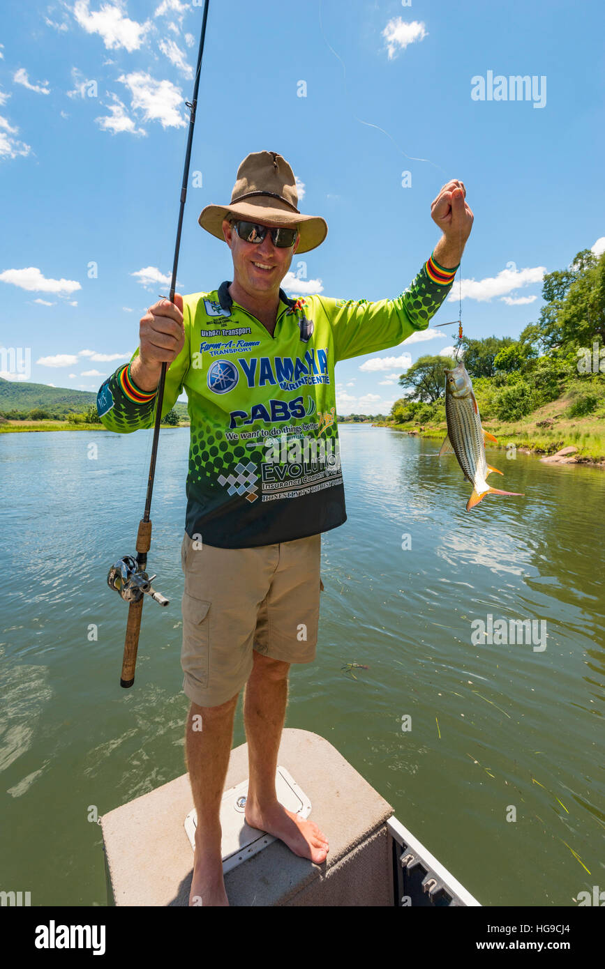 Fishing angling bream tiger Zambezi River Zimbabwe Stock Photo Alamy