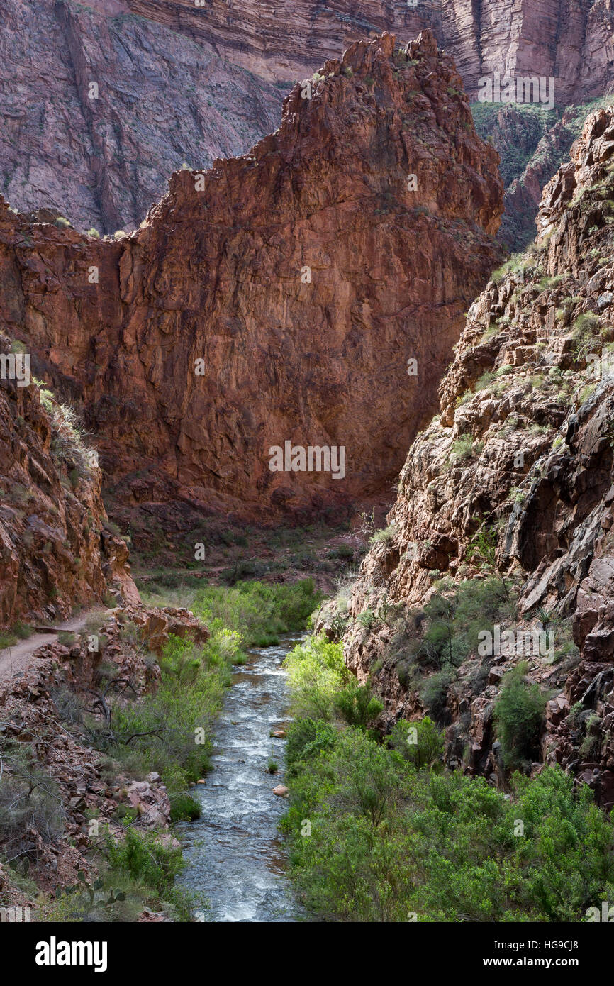 The North Kaibab Trail following Bright Angel Creek past the Vishnu