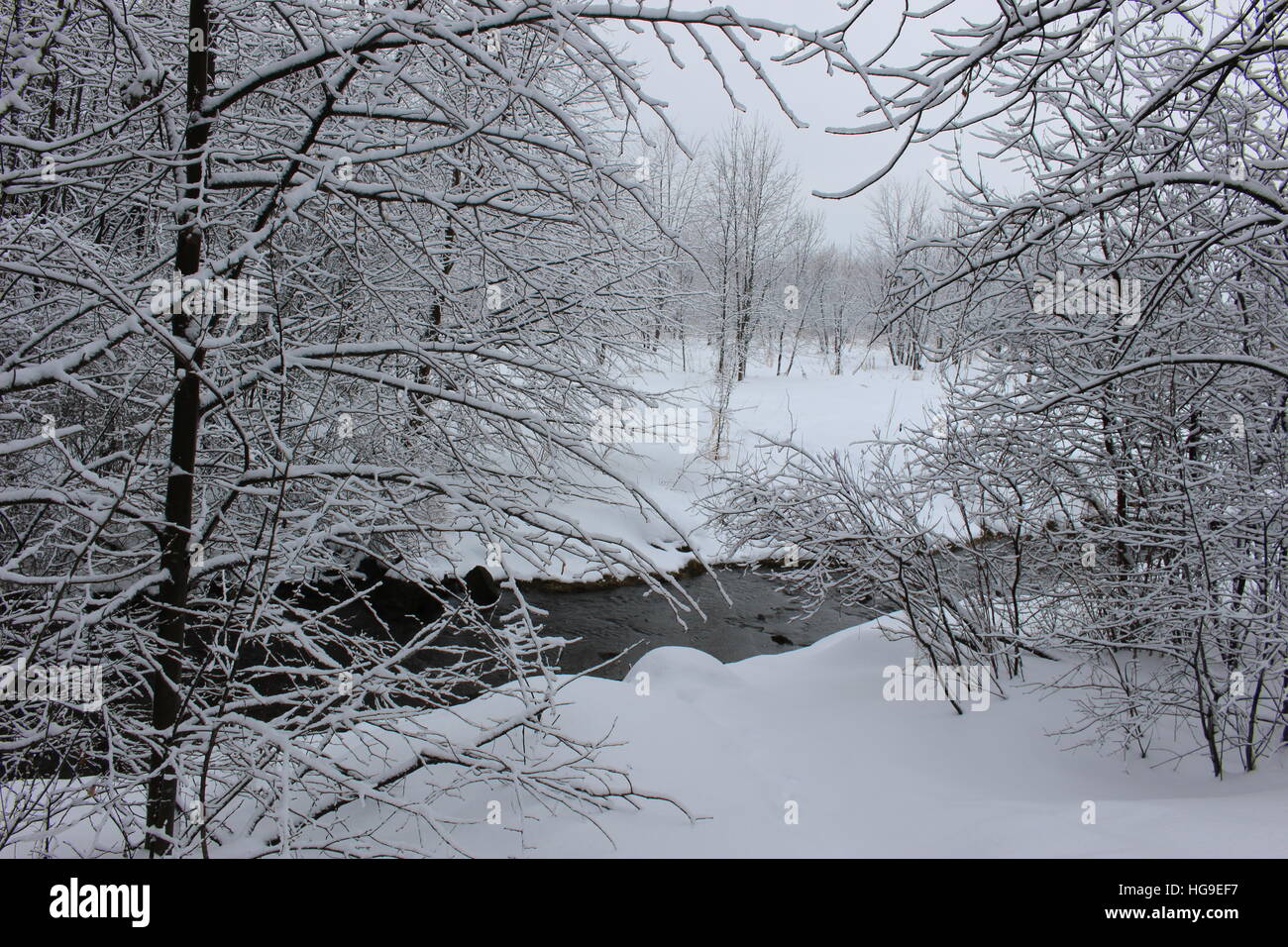 Snow by the stream Stock Photo