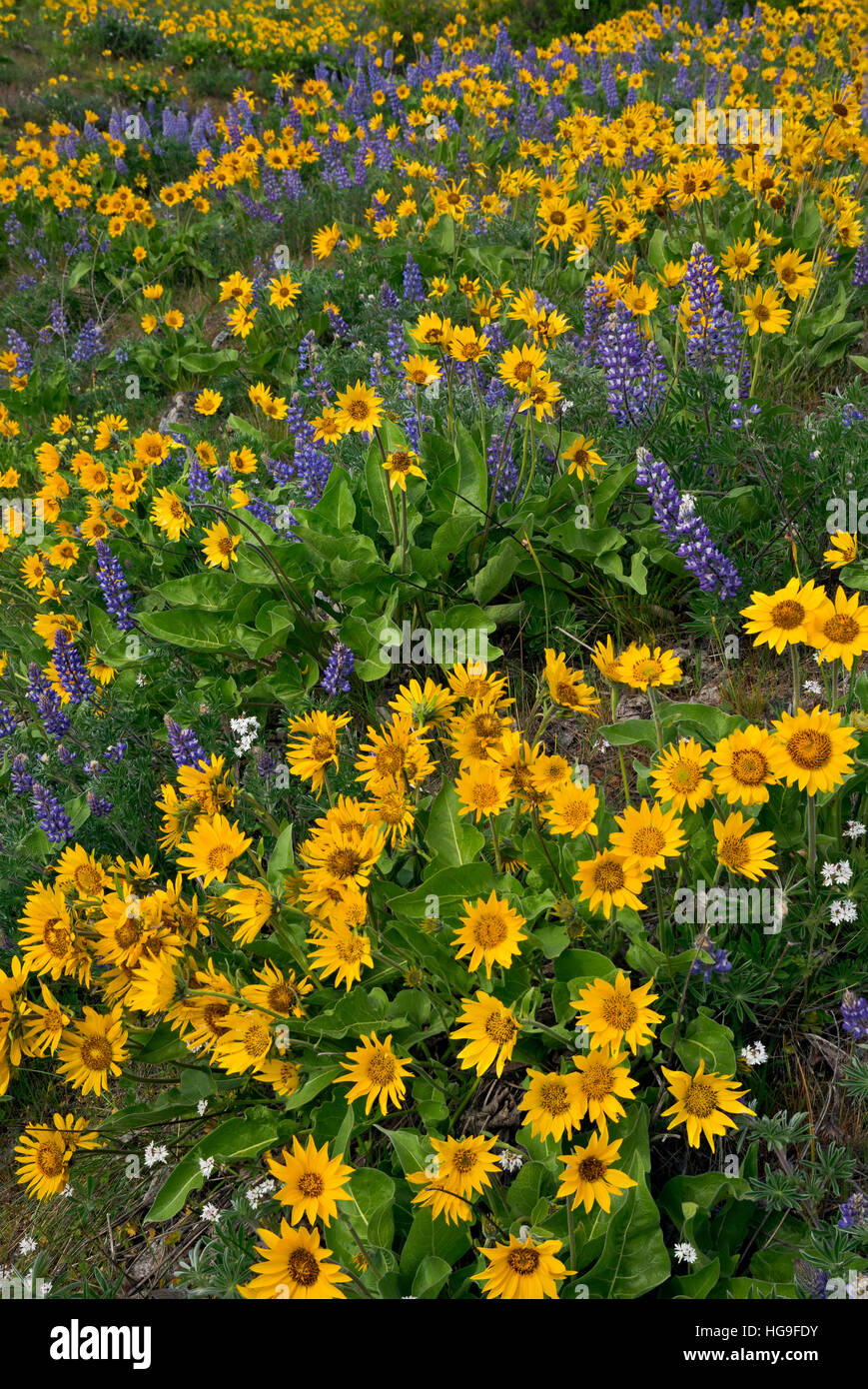 Stacker hi-res stock photography and images - Alamy