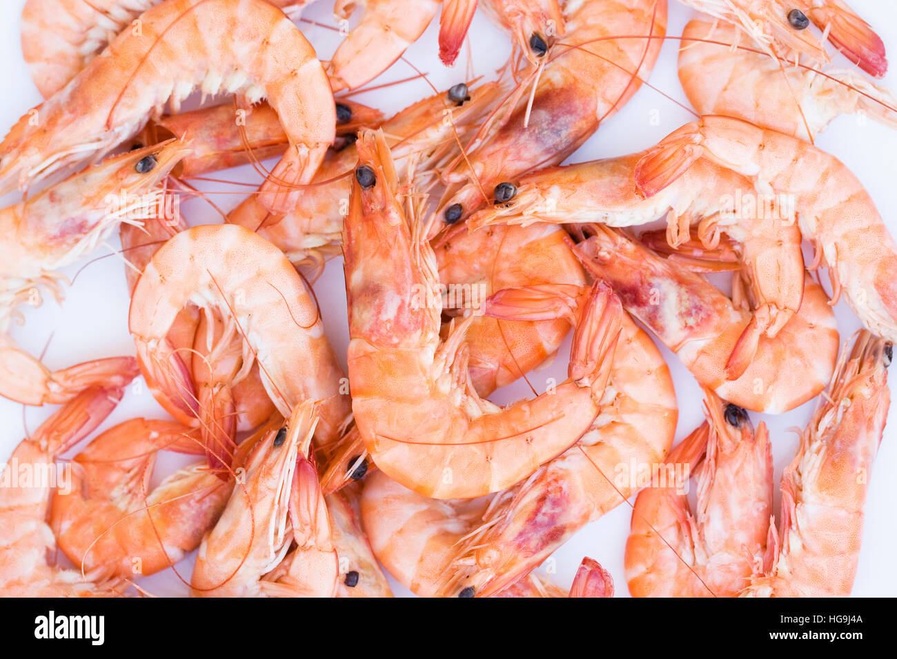 Crevettes High Resolution Stock Photography And Images Alamy