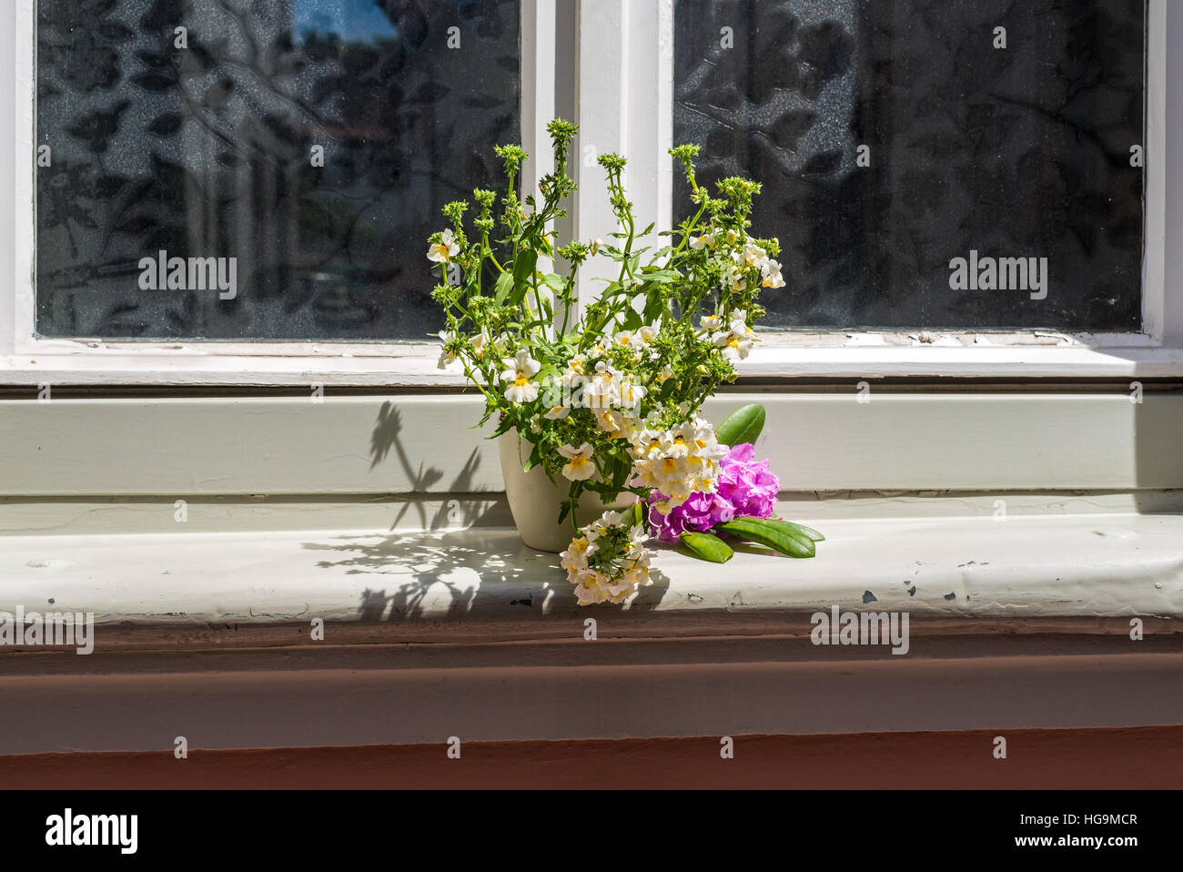 An old house window decorated with flower pots in Bamberg, Germany Stock Photo