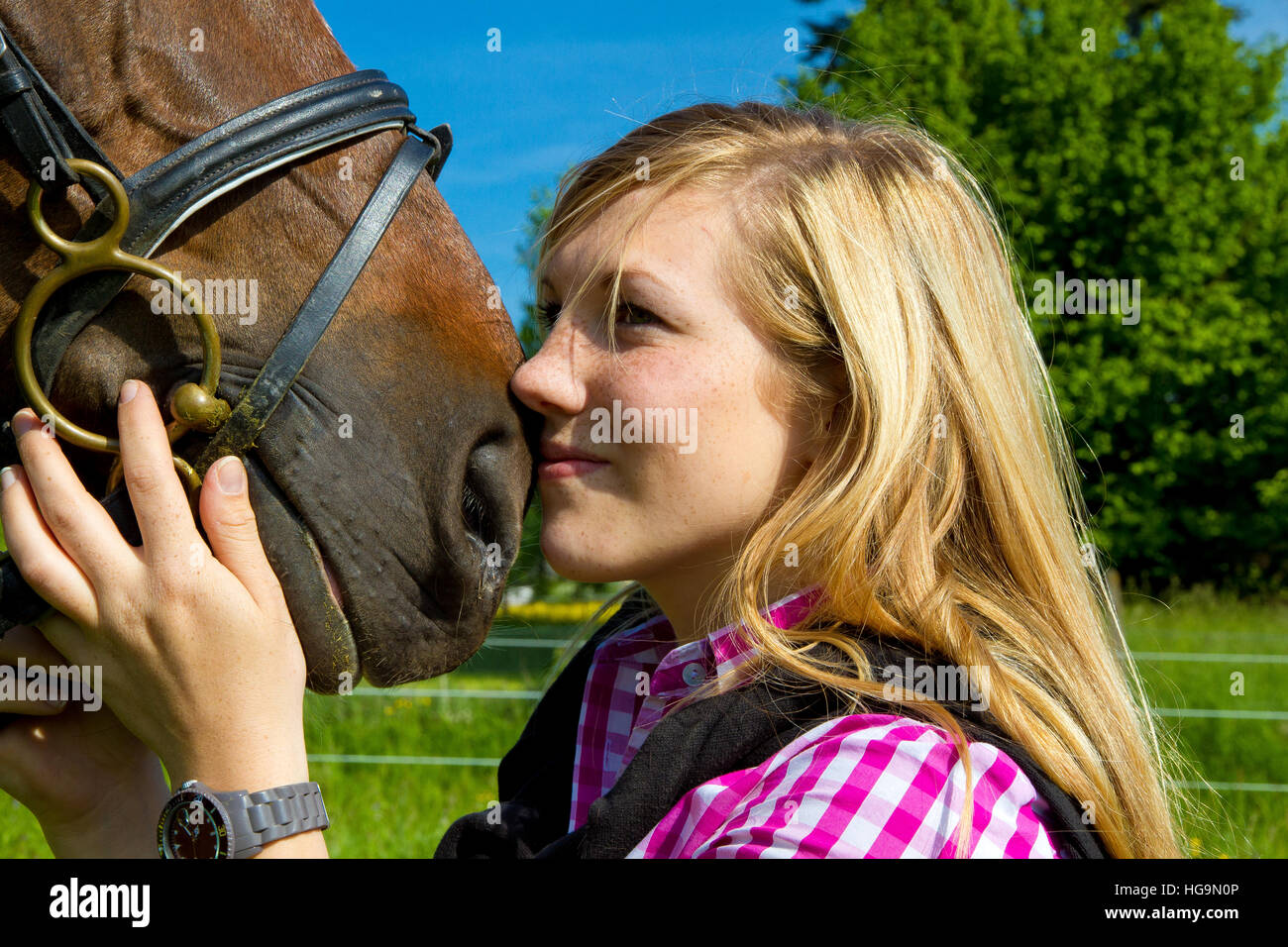 Teenage girl love her horse Stock Photo Alamy
