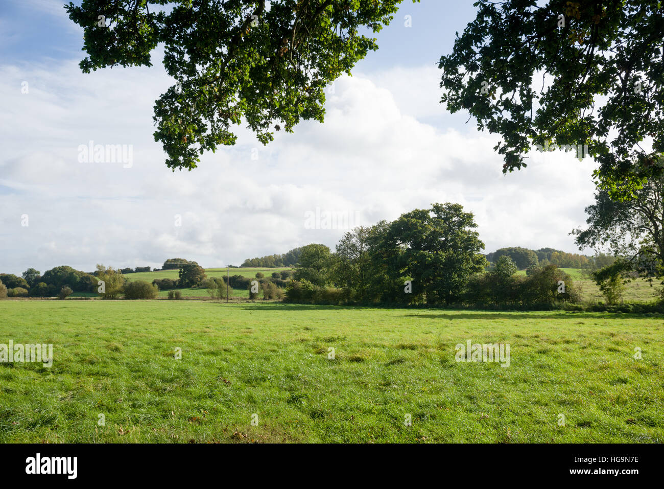 Rolling countryside in the village and civil parish of Wigginton