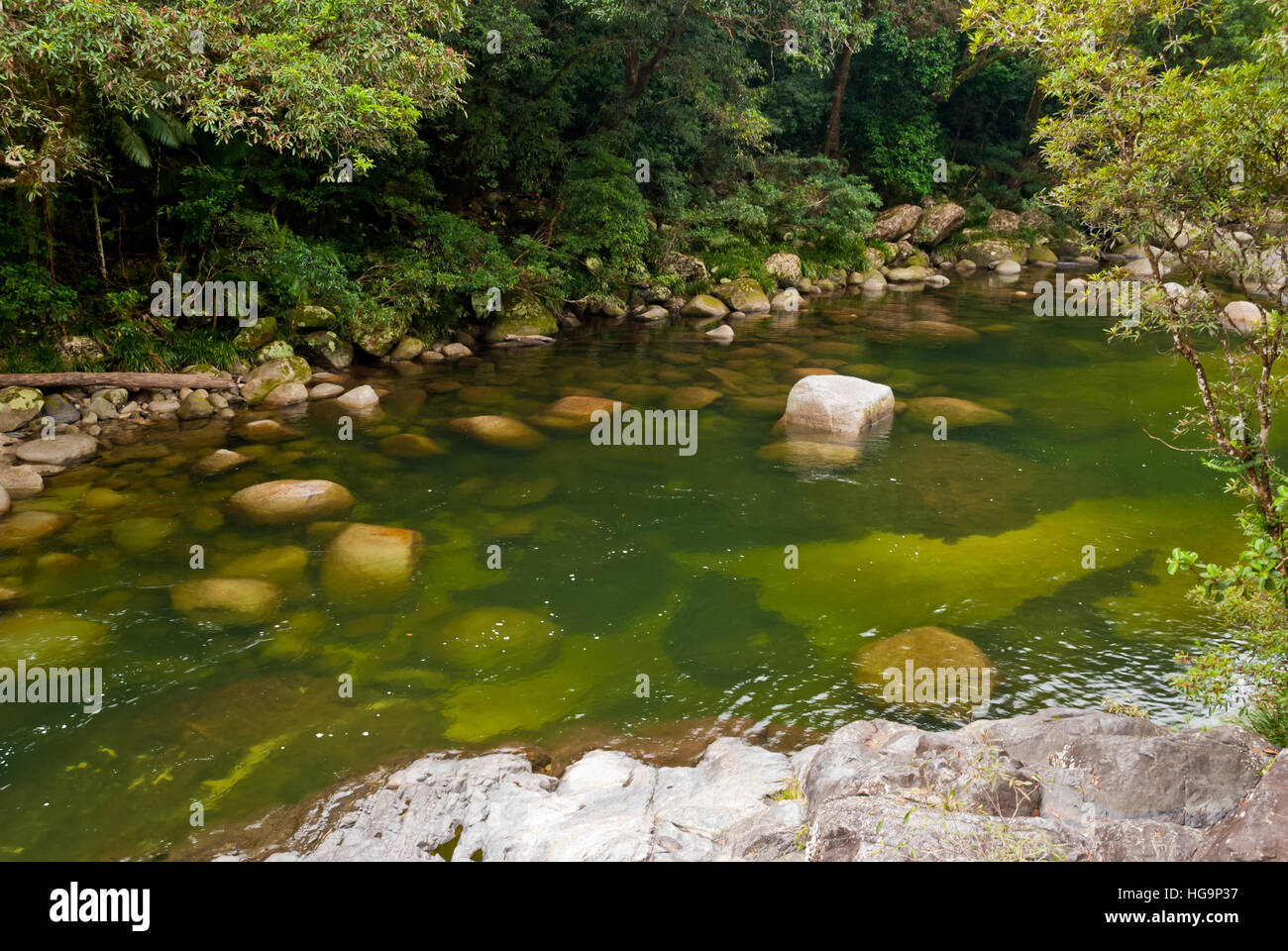 Mossman Daintree National Park, Australia Stock Photo Alamy