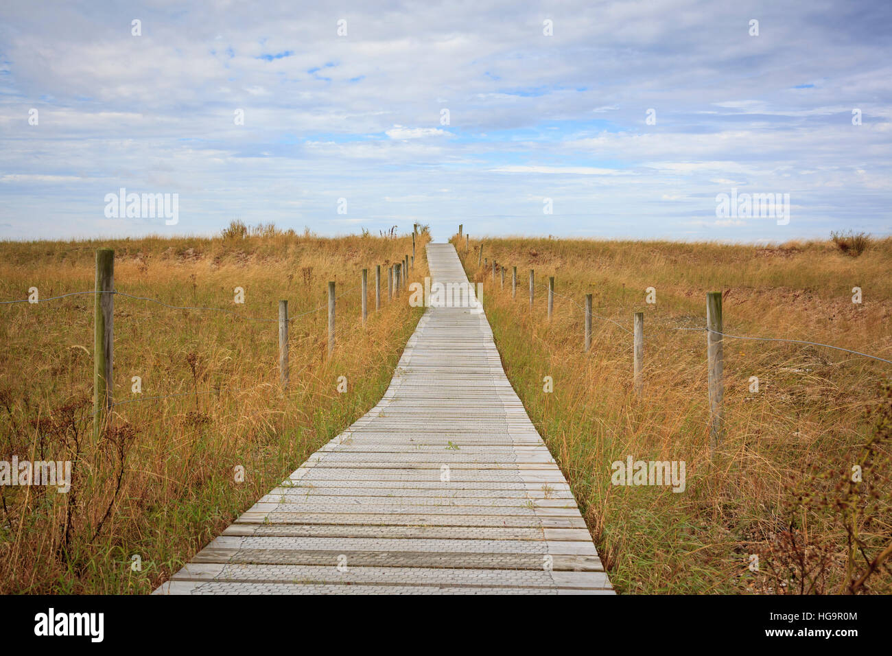 Wooden walkway over Snettisham RSPB Reserve. Norfolk. England. UK. Stock Photo