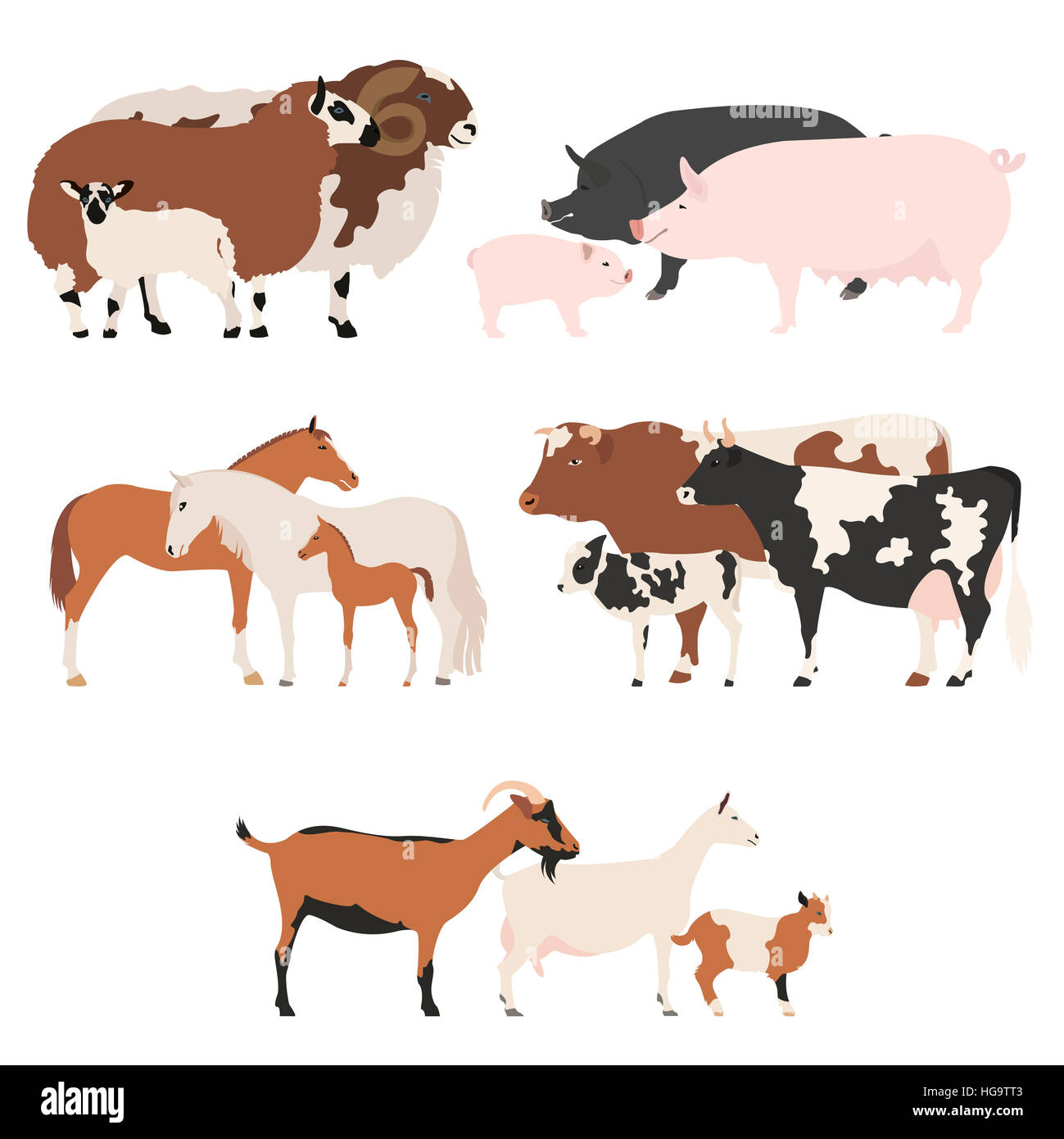 Farm animall family collection. Cattle, sheep, pig, horse, goat icon set. Flat design. Vector illustration Stock Photo