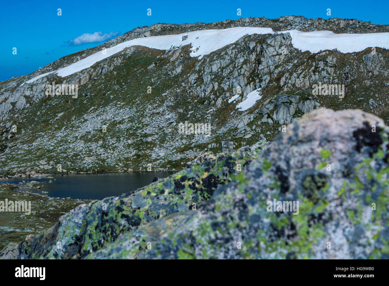 Australia trees kosciuszko national park hires stock photography and