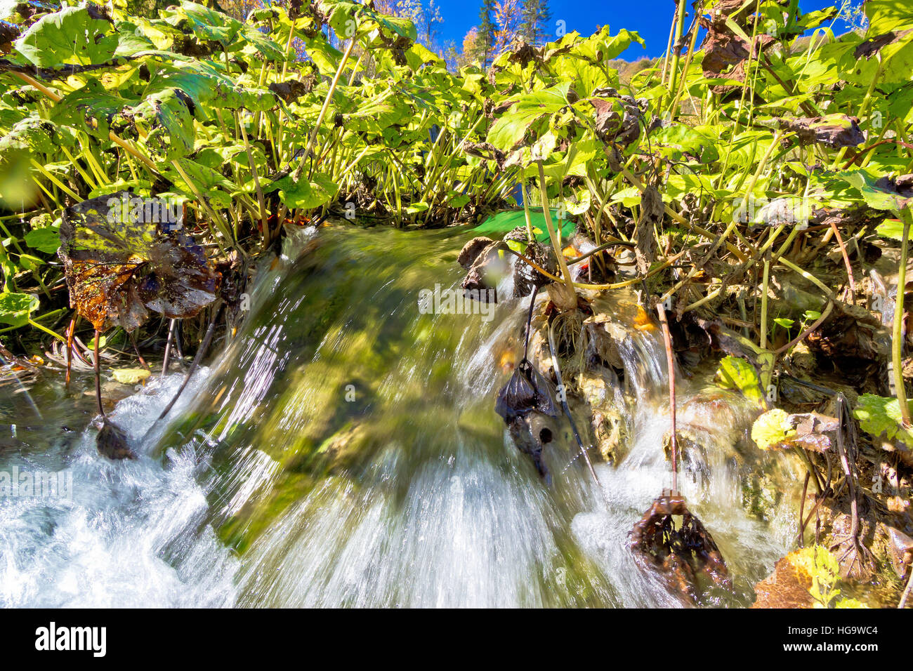 Plitvice lakes national park detail, flowing water and flora Stock Photo