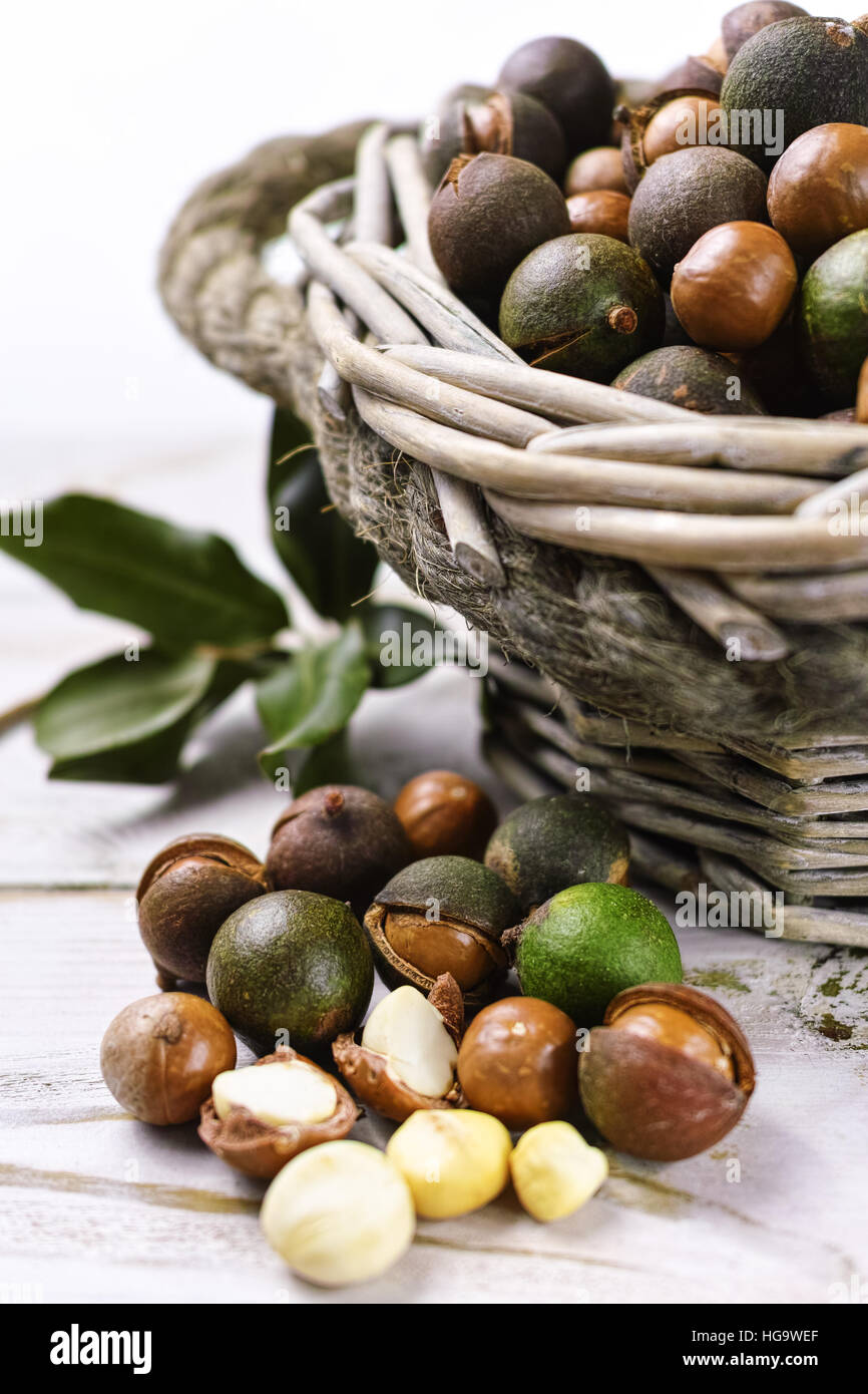 Macadamia nuts harvest close up Stock Photo Alamy