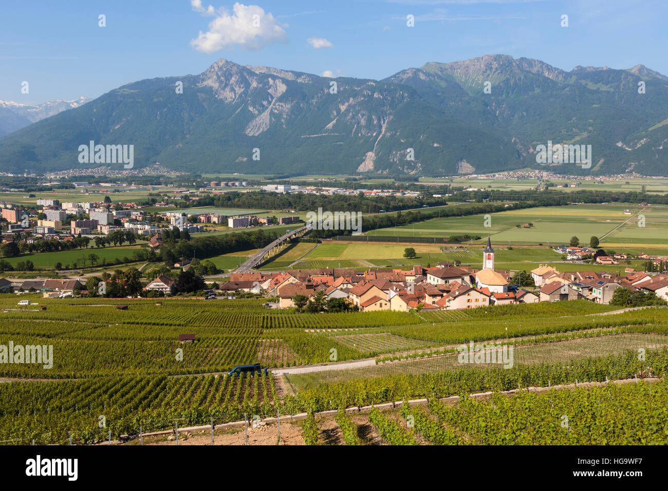 near Yvorne, Vaud Canton, Switzerland.  Vineyards. Stock Photo
