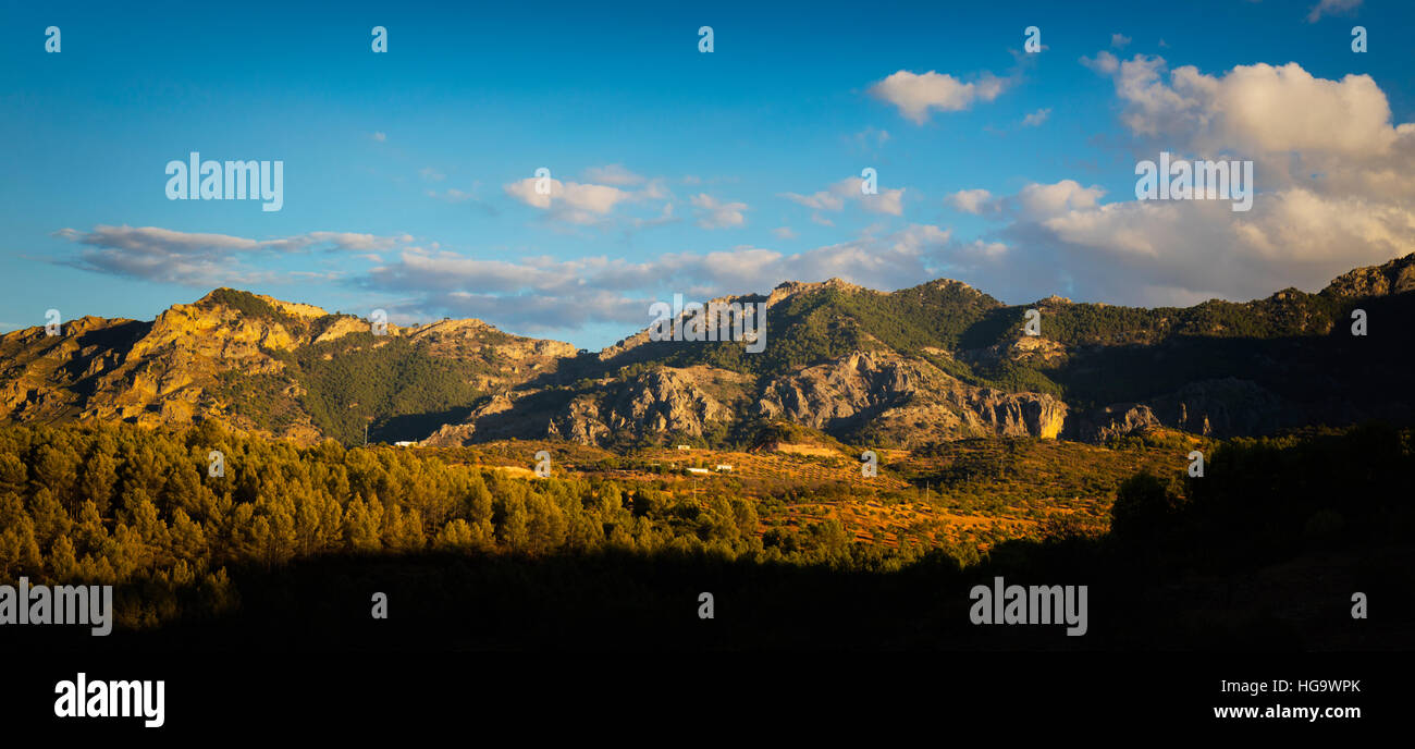 Malaga Province, Andalusia, southern Spain.  Area of Sierra de las Nieves Natural Park near Alozaina. (Parque natural de la Sierra de las Nieves). Stock Photo