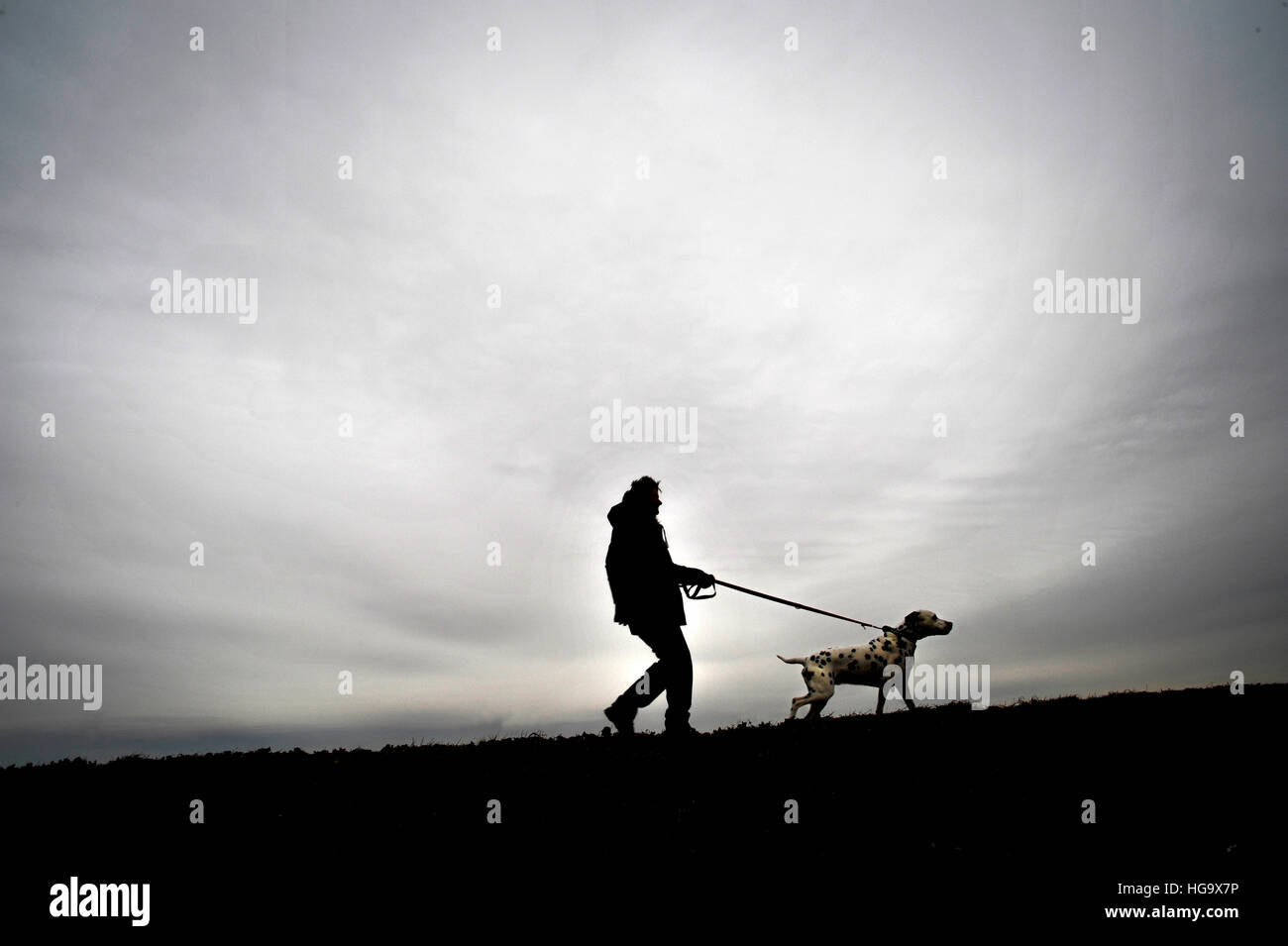 Man takes his dog for a walk. Stock Photo