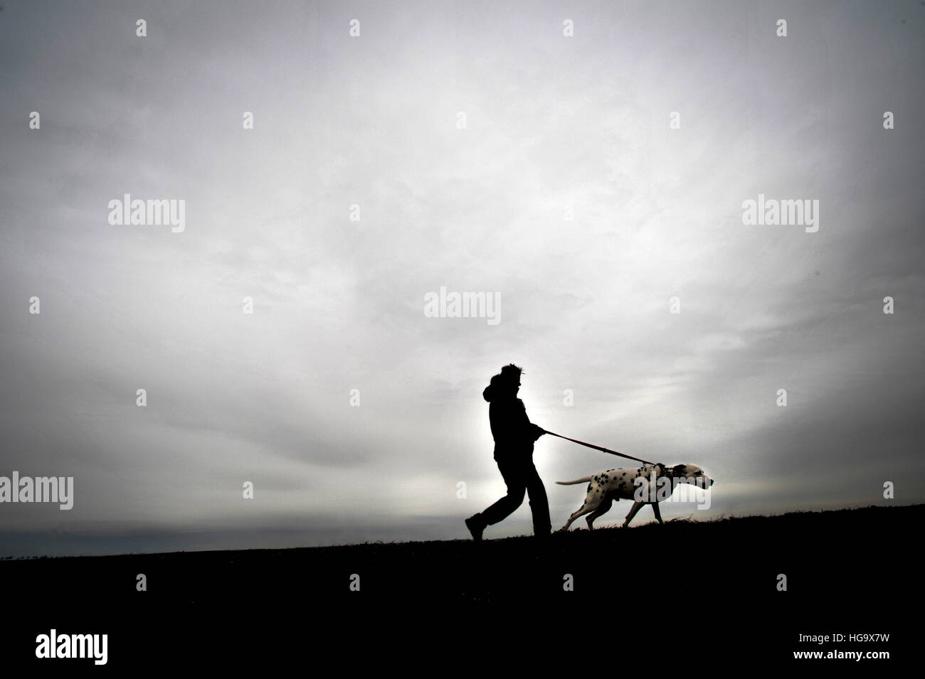 Man takes his dog for a walk. Stock Photo