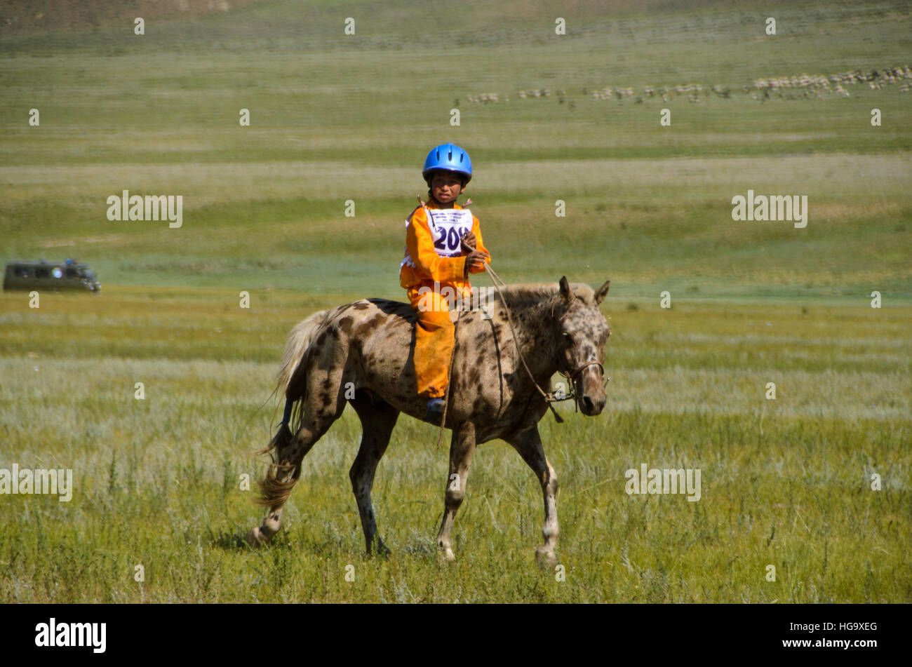 A young horse-rider warming-up for the race, Naadam festival, Moron. Stock Photo