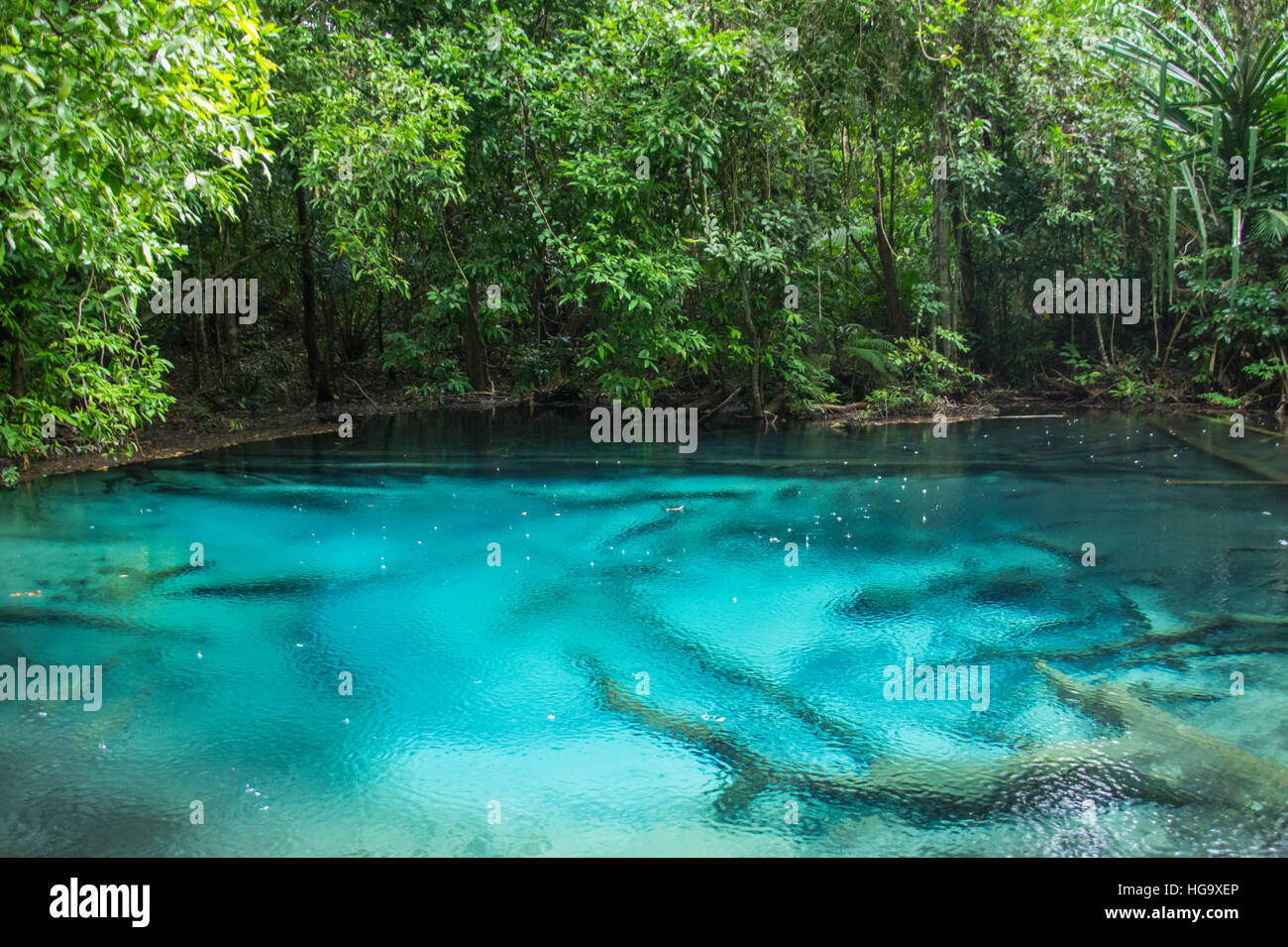 que thử thai clear blue