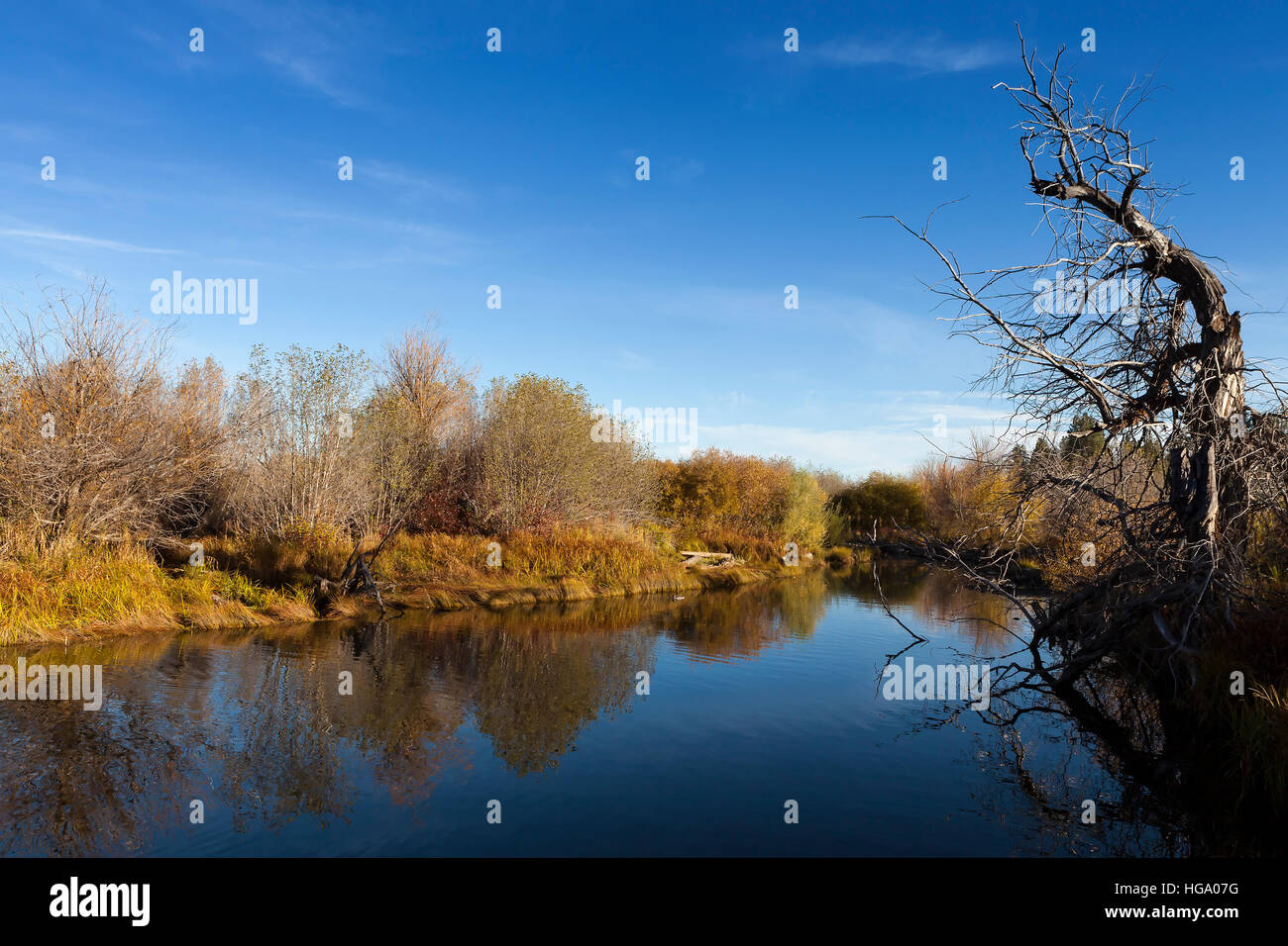 Taylor Creek, Lake Tahoe. Calm reflective river and tree with blue sky. Stock Photo