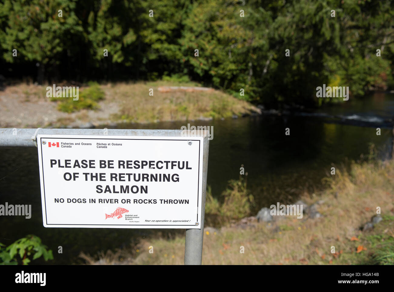 Big Qualicum River notice to care for migrating salmon and its River environment. SCO 11,363. Stock Photo