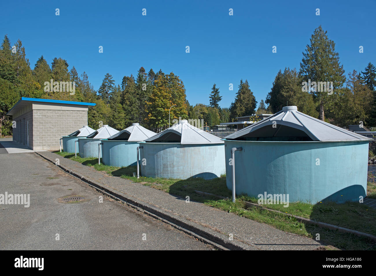 The Big Qualicum River Fish Hatchery on Vancouver Island BC, Canada. SCO 366 Stock Photo Alamy