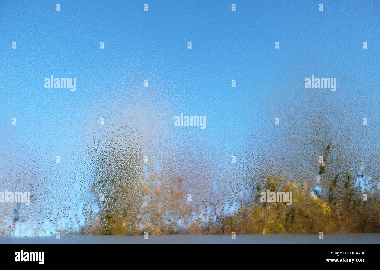 Condensation water droplets on inside of a velux window interior on a cold winter blue sky morning in rural Carmarthenshire Wales UK  KATHY DEWITT Stock Photo