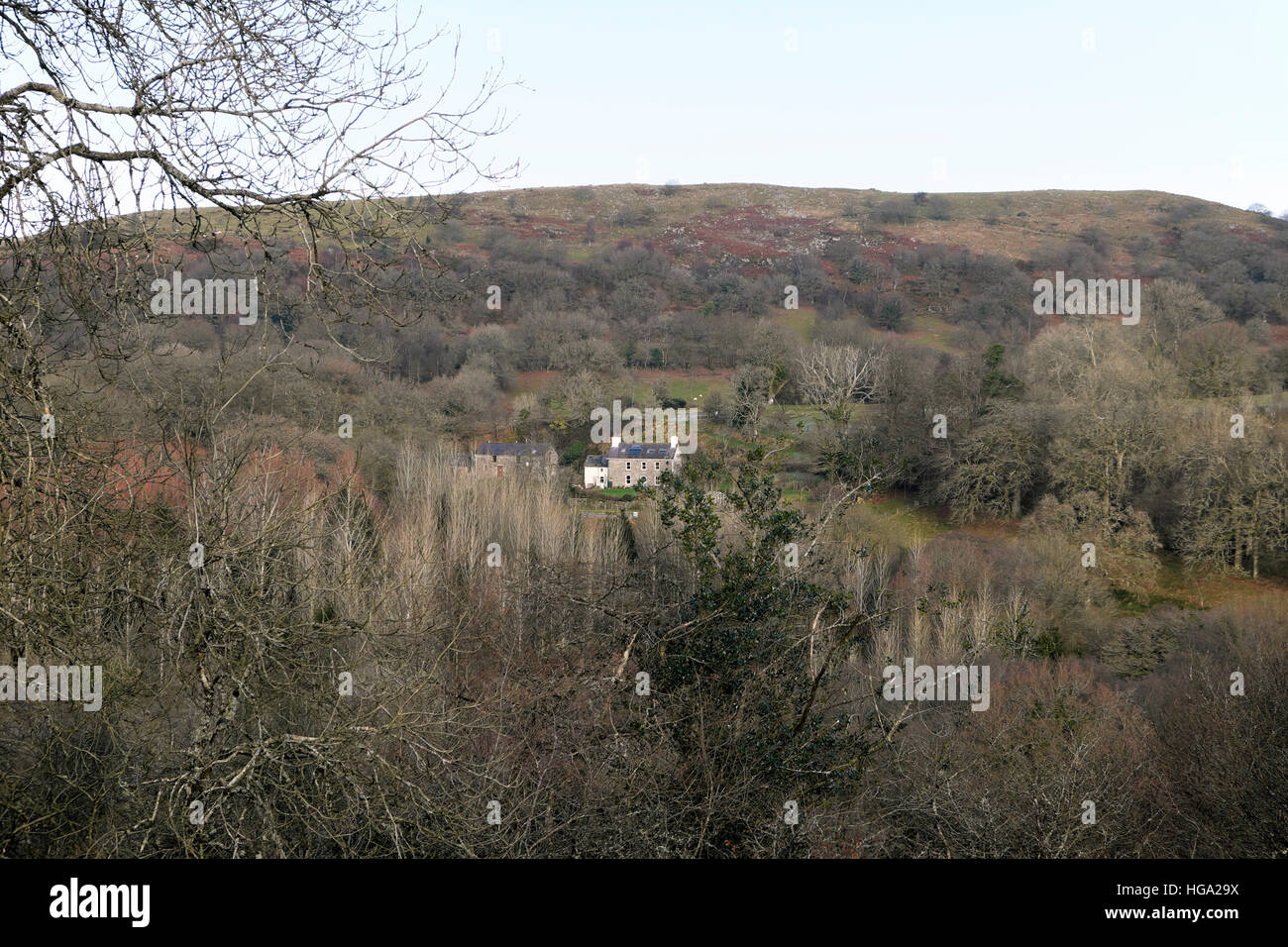 Rural homes country houses surrounded by trees wooded landscape in