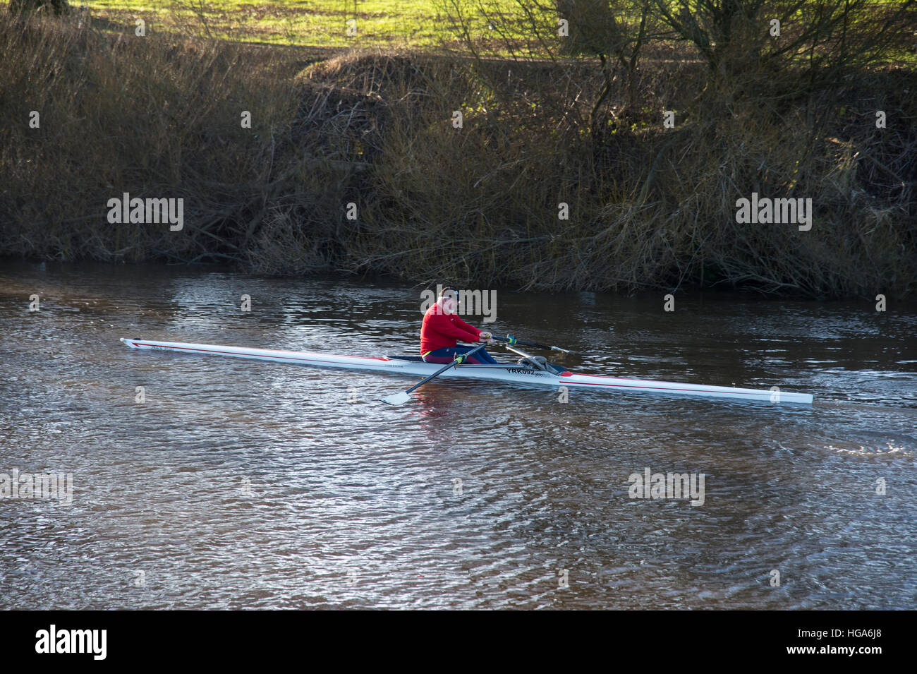 One mature male rower keeps fit by exercising in a single scull rowing
