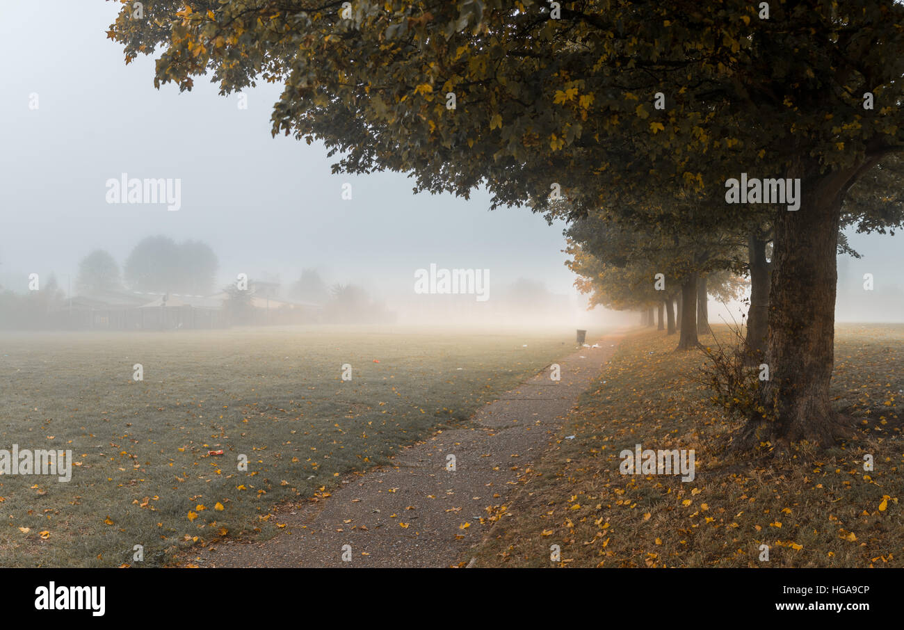 Heavy dense fog at a park Stock Photo