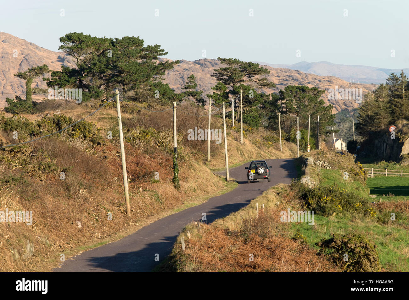The road east to Kilcrohane on the Sheep's Head Peninsula, County Cork, Ireland Stock Photo Alamy