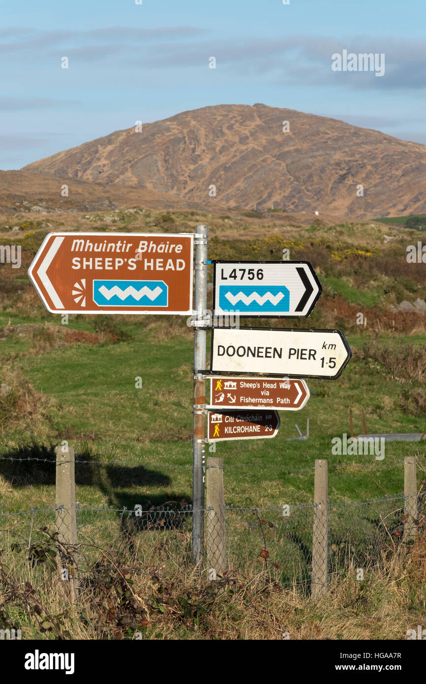 The road east to Kilcrohane on the Sheep's Head Peninsula, County Cork, Ireland Stock Photo Alamy